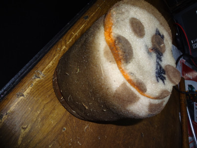 DSC02194.jpeg