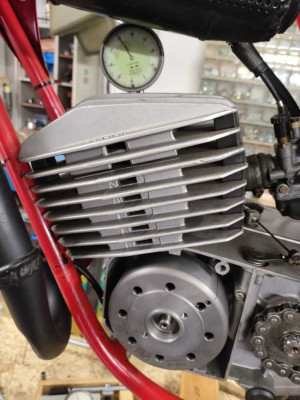 44708a15-16c5-4544-84f3-0a75eee5d144 (1).jpg